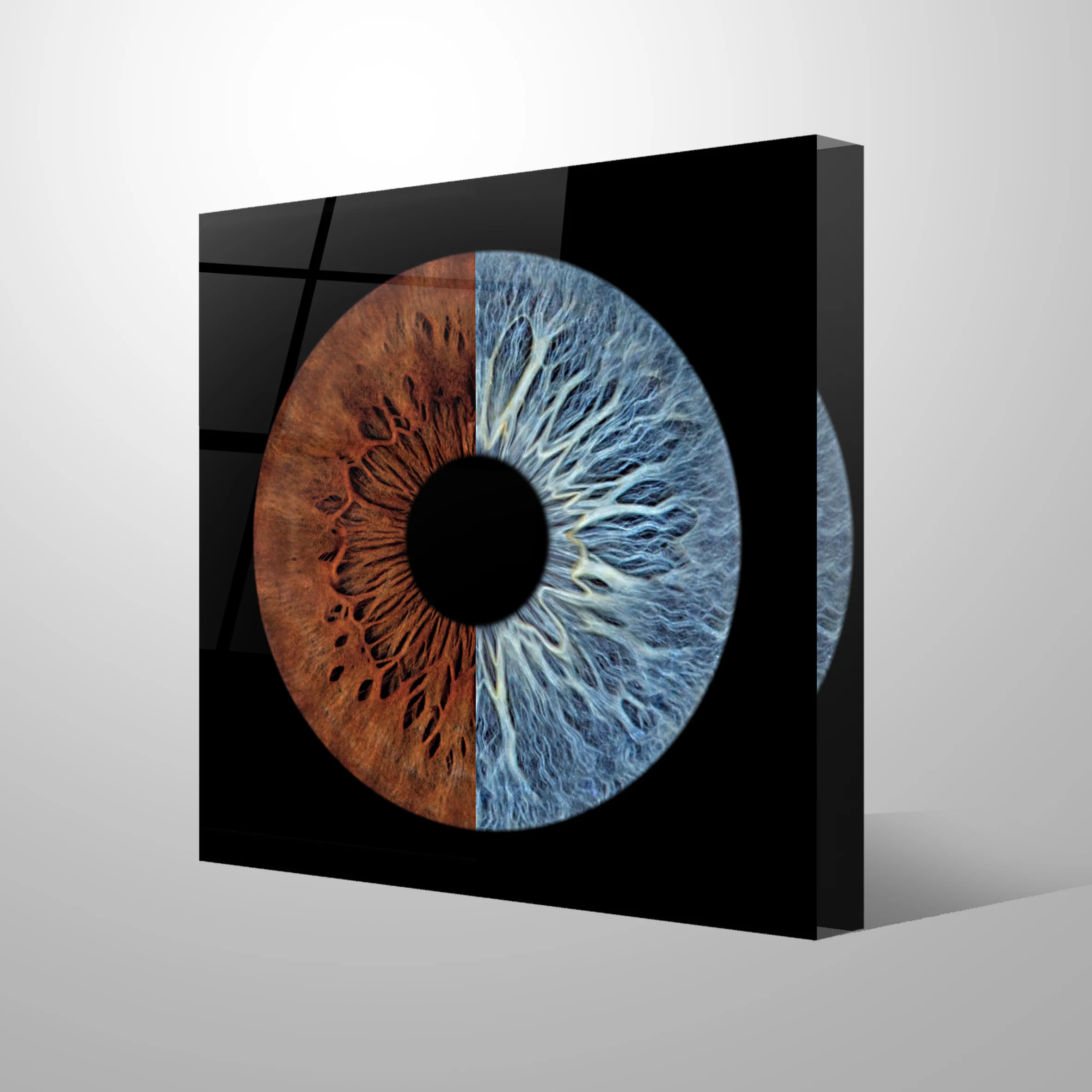 FOTOBLOK - Fusion - Image 2